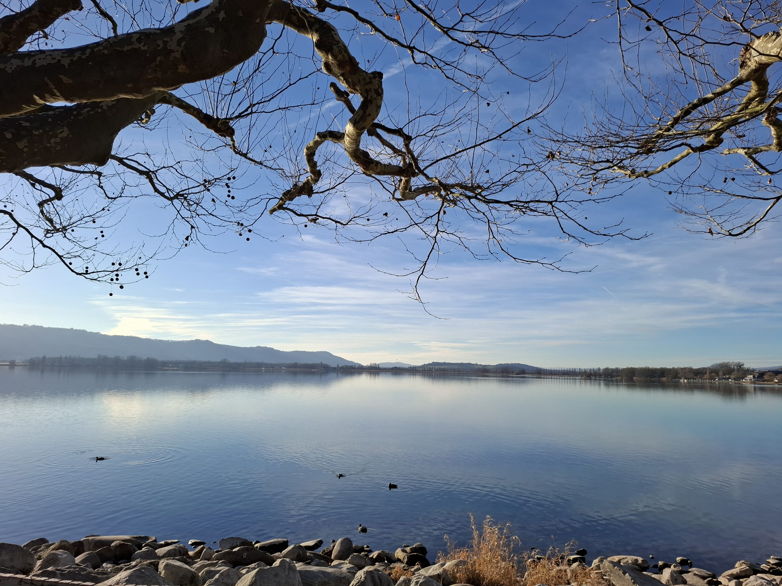 neue Ausblicke in Karriere und Laufbahn